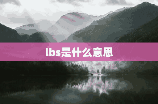 lbs是什么意思